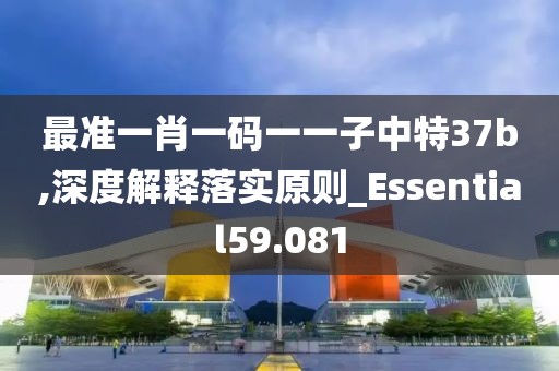 最准一肖一码一一子中特37b,深度解释落实原则_Essential59.081