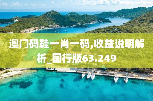 澳门码鞋一肖一码,收益说明解析_国行版63.249