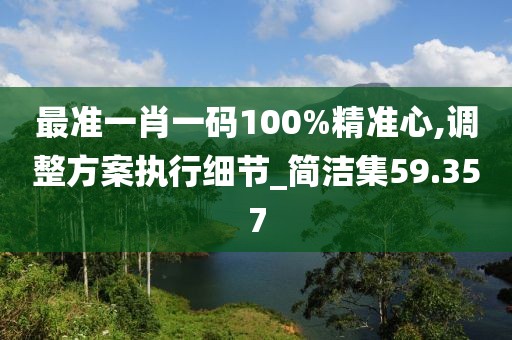 最准一肖一码100%精准心,调整方案执行细节_简洁集59.357