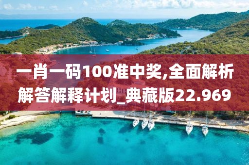一肖一码100准中奖,全面解析解答解释计划_典藏版22.969
