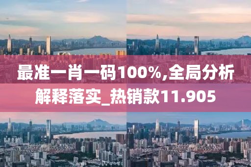 最准一肖一码100%,全局分析解释落实_热销款11.905