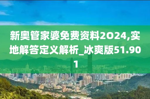 新奥管家婆免费资料2O24,实地解答定义解析_冰爽版51.901