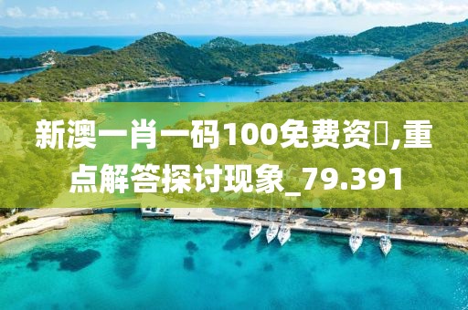 新澳一肖一码100免费资枓,重点解答探讨现象_79.391