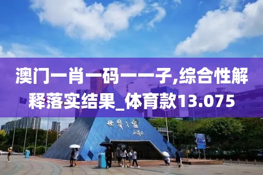 澳门一肖一码一一子,综合性解释落实结果_体育款13.075