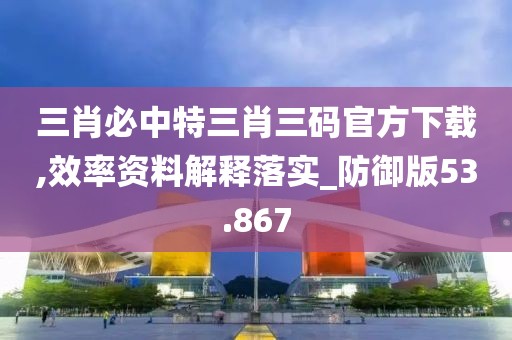 三肖必中特三肖三码官方下载,效率资料解释落实_防御版53.867