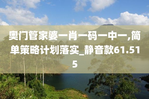 奥门管家婆一肖一码一中一,简单策略计划落实_静音款61.515