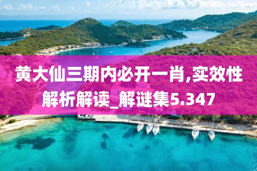 黄大仙三期内必开一肖,实效性解析解读_解谜集5.347