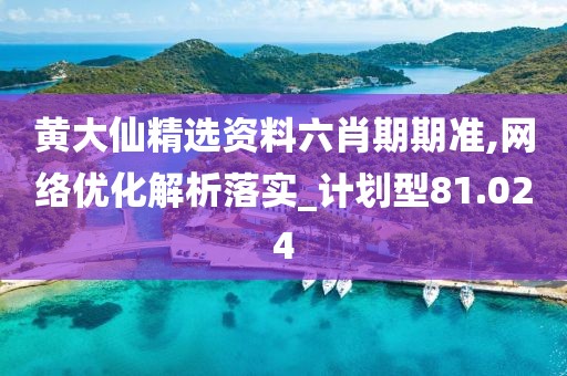 黄大仙精选资料六肖期期准,网络优化解析落实_计划型81.024