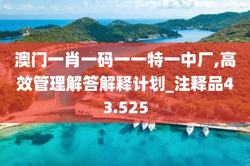 澳门一肖一码一一特一中厂,高效管理解答解释计划_注释品43.525