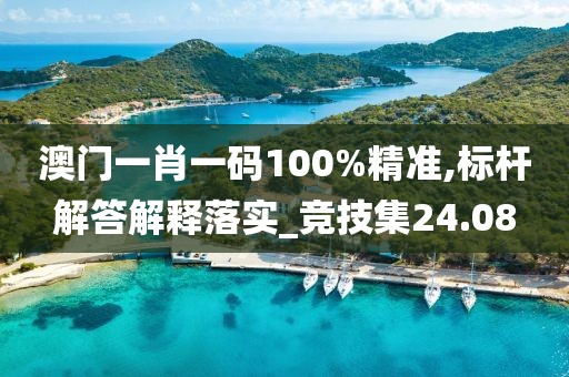 澳门一肖一码100%精准,标杆解答解释落实_竞技集24.08