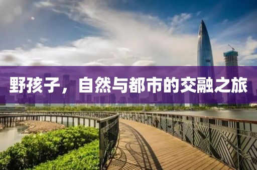 野孩子，自然与都市的交融之旅
