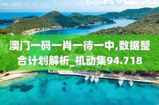澳门一码一肖一待一中,数据整合计划解析_机动集94.718