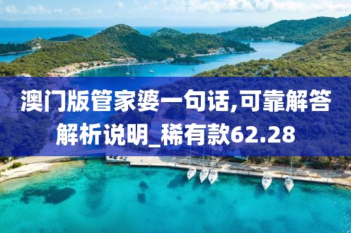 澳门版管家婆一句话,可靠解答解析说明_稀有款62.28