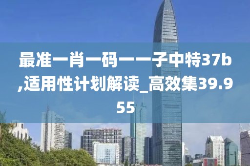 最准一肖一码一一子中特37b,适用性计划解读_高效集39.955