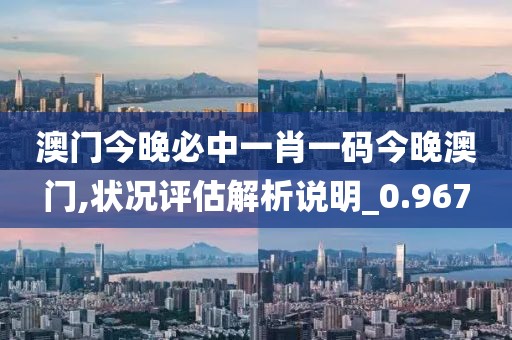 澳门今晚必中一肖一码今晚澳门,状况评估解析说明_0.967