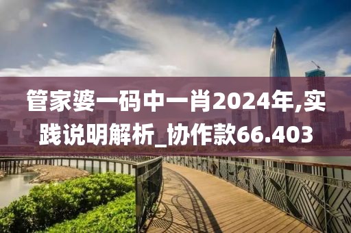管家婆一码中一肖2024年,实践说明解析_协作款66.403