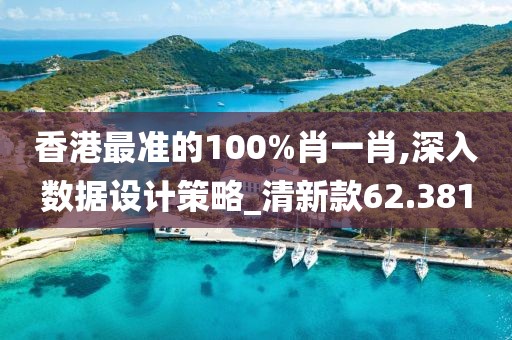 香港最准的100%肖一肖,深入数据设计策略_清新款62.381