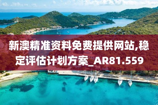 新澳精准资料免费提供网站,稳定评估计划方案_AR81.559
