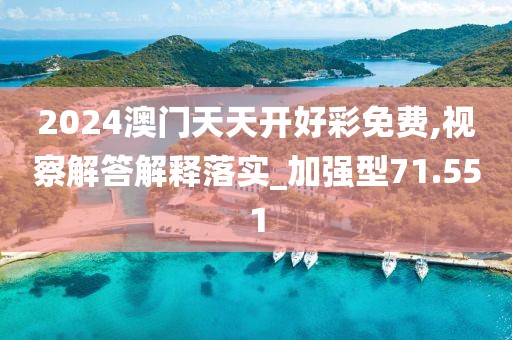 2024澳门天天开好彩免费,视察解答解释落实_加强型71.551