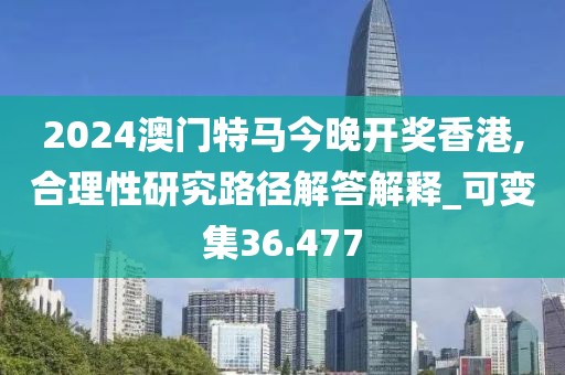 2024澳门特马今晚开奖香港,合理性研究路径解答解释_可变集36.477