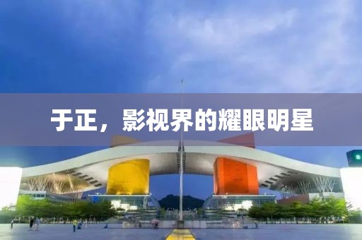 于正，影视界的耀眼明星