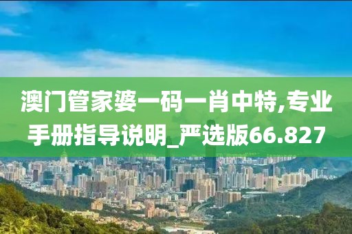 澳门管家婆一码一肖中特,专业手册指导说明_严选版66.827