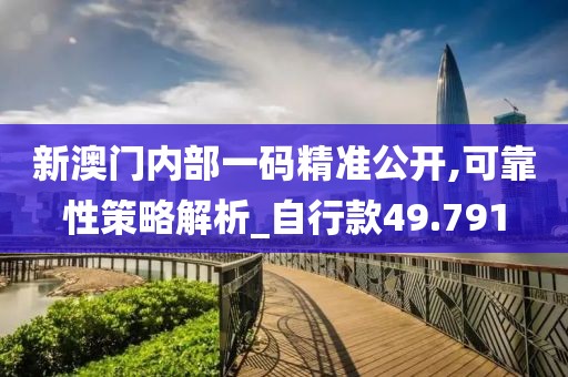 新澳门内部一码精准公开,可靠性策略解析_自行款49.791