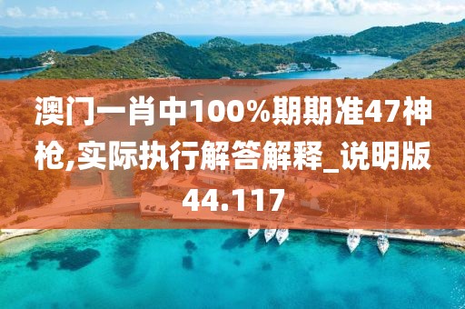 澳门一肖中100%期期准47神枪,实际执行解答解释_说明版44.117