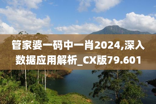 管家婆一码中一肖2024,深入数据应用解析_CX版79.601