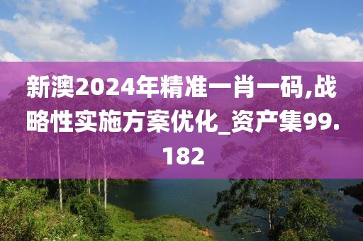 新澳2024年精准一肖一码,战略性实施方案优化_资产集99.182