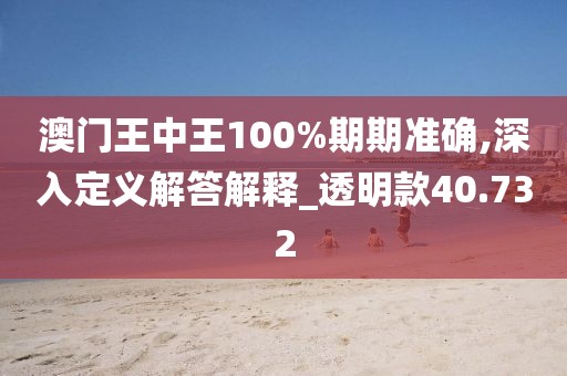 澳门王中王100%期期准确,深入定义解答解释_透明款40.732