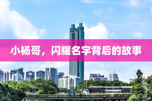 小杨哥，闪耀名字背后的故事