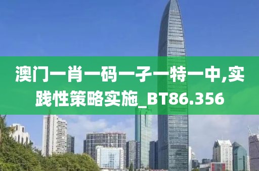 澳门一肖一码一孑一特一中,实践性策略实施_BT86.356