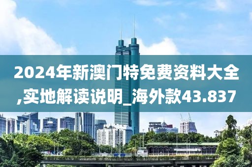 2024年新澳门特免费资料大全,实地解读说明_海外款43.837