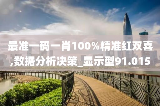 最准一码一肖100%精准红双喜,数据分析决策_显示型91.015