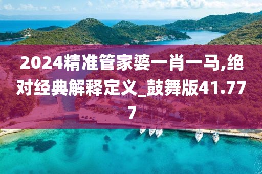 2024精准管家婆一肖一马,绝对经典解释定义_鼓舞版41.777