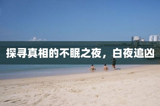 探寻真相的不眠之夜，白夜追凶
