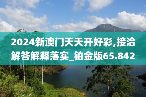 2024新澳门天天开好彩,接洽解答解释落实_铂金版65.842