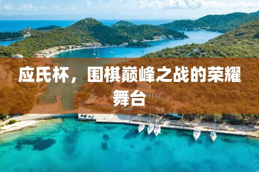 应氏杯，围棋巅峰之战的荣耀舞台