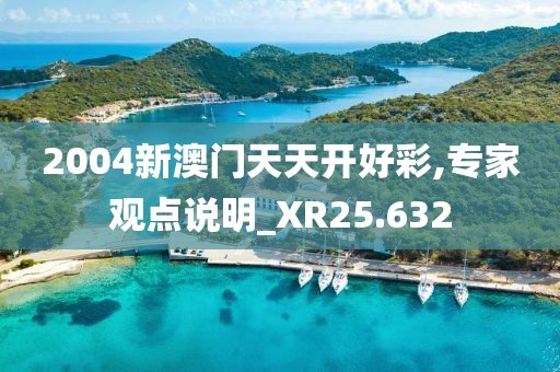2004新澳门天天开好彩,专家观点说明_XR25.632