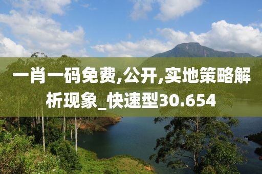 一肖一码免费,公开,实地策略解析现象_快速型30.654