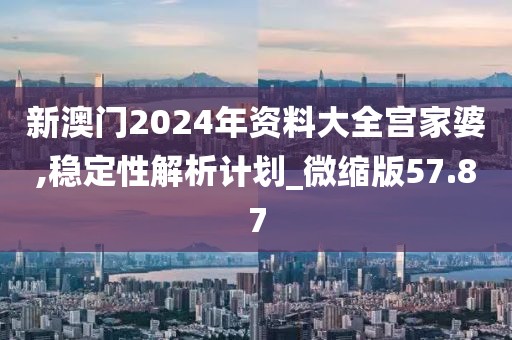 新澳门2024年资料大全宫家婆,稳定性解析计划_微缩版57.87
