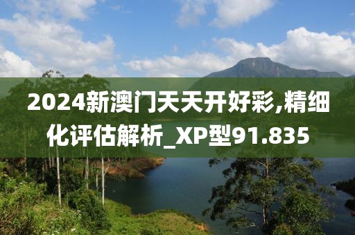 2024新澳门天天开好彩,精细化评估解析_XP型91.835