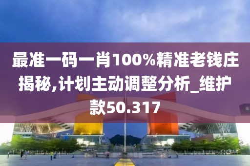 最准一码一肖100%精准老钱庄揭秘,计划主动调整分析_维护款50.317