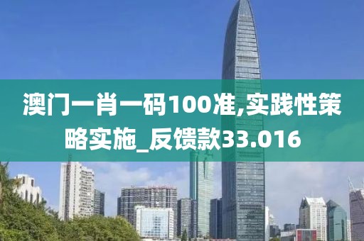 澳门一肖一码100准,实践性策略实施_反馈款33.016