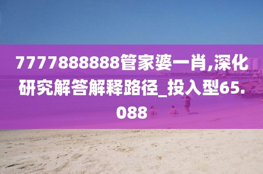 7777888888管家婆一肖,深化研究解答解释路径_投入型65.088