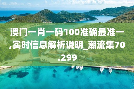 澳门一肖一码100准确最准一,实时信息解析说明_潮流集70.299