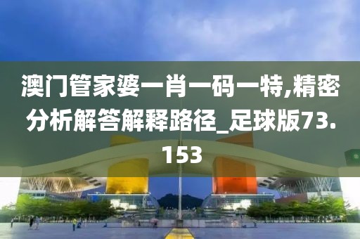 澳门管家婆一肖一码一特,精密分析解答解释路径_足球版73.153