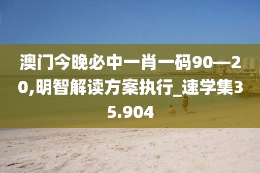 澳门今晚必中一肖一码90—20,明智解读方案执行_速学集35.904