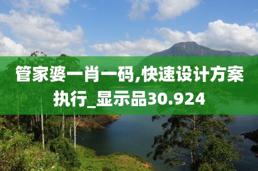 管家婆一肖一码,快速设计方案执行_显示品30.924